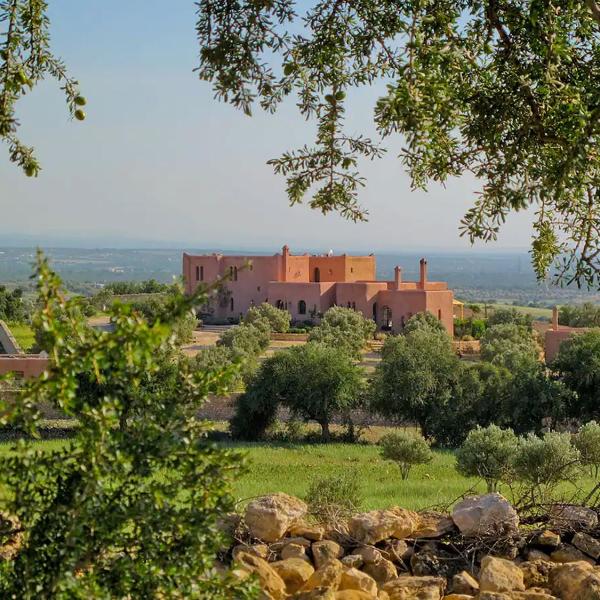 Privatisation du Domaine La Colline Des Oliviers
