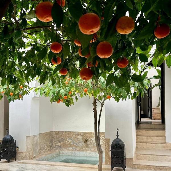 Riad typique de charme,5 ch, petit-déjeuner inclus