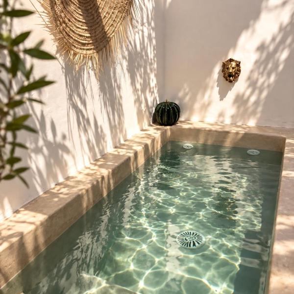 Riad Dar Vic - Privé avec bassin sur le toit