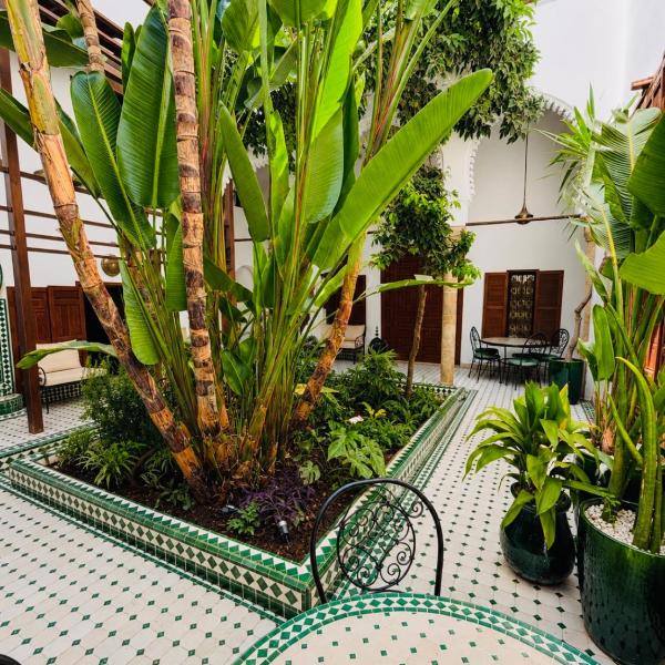 Riad El Maâti